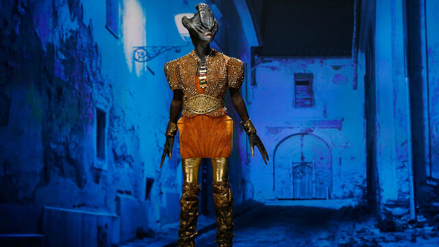File:Adam S8 Ep8 Spotlight.jpg