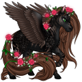 Image builder pet (21)