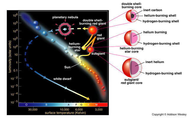File:EvolutionNormalStar.jpg