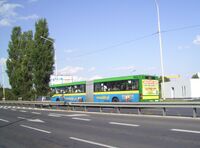 Szczecin w sierpniu (48).jpg