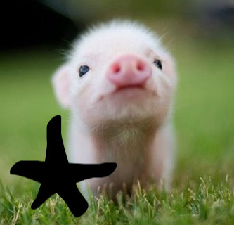 Plik:BabyHammy1.3.jpg