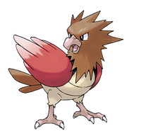 Spearow