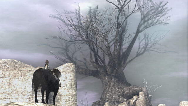 File:DeadTree2.jpg
