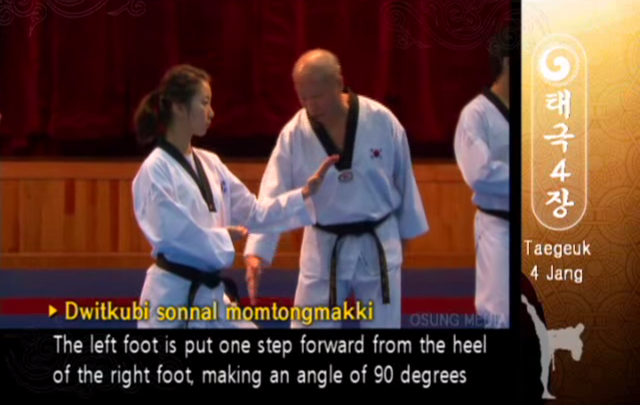 File:T4 DoubleKnifehandBlock.png