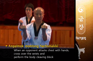 Keumgang OutwardOpeningBlock