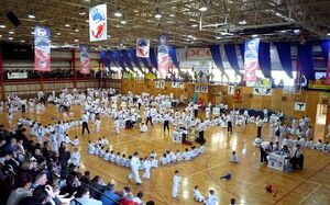 TaekwondoTournament