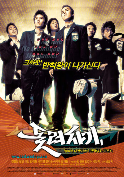 Spinkick poster