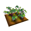 檔案:茄子田.png
