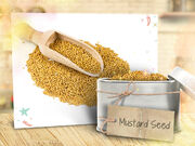 Talia-in-the-kitchen-flipbook-spice-rack-9