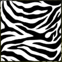 File:Camo Zebra.jpg