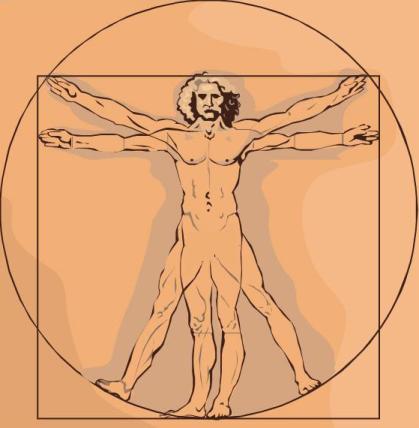 File:Davinci human-sketch32.jpg