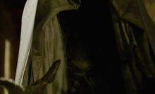 The Veil
