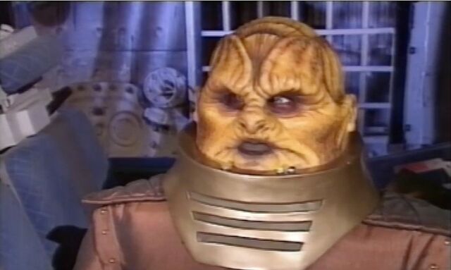 File:Steg Shakedown closeup.jpg