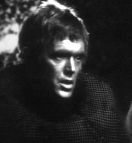 File:Exorse5.jpg