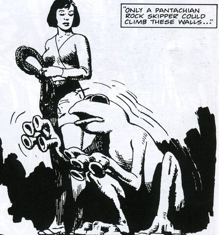 File:Rock Skipper.jpg