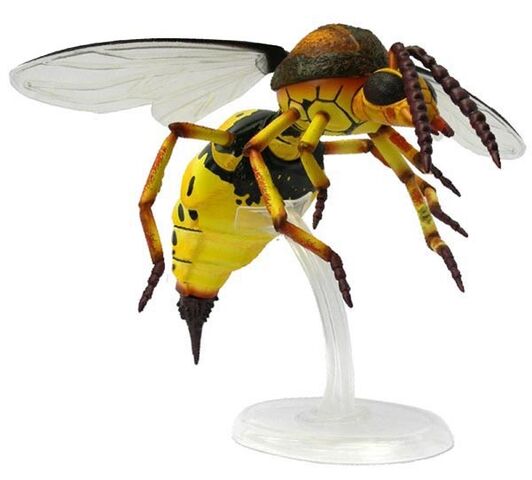 File:VespiformFigure.jpg