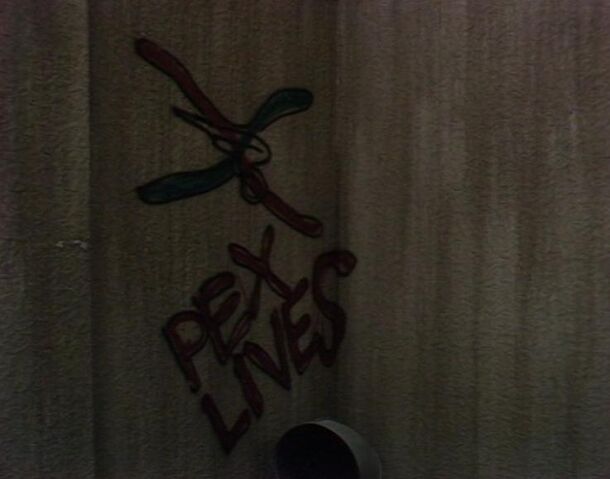 File:Pex lives.jpg