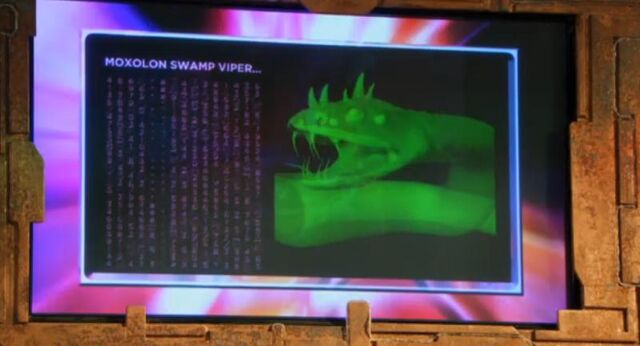 File:MoloxanSwampViper.jpg