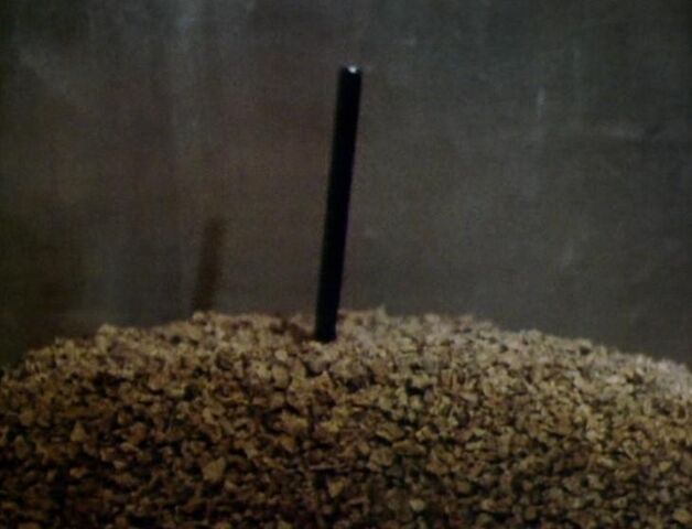File:Snorkel RoD.jpg