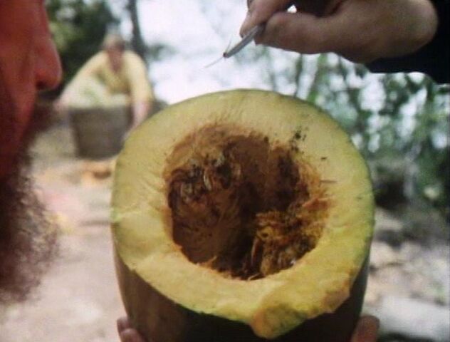 File:RiverfruitCross-section.jpg
