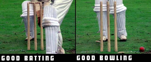 File:Stump comparison.jpg