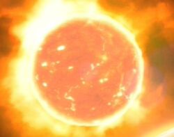 Sole