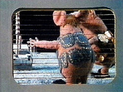 Clangers