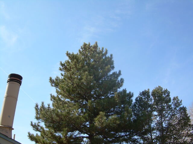File:Outside.jpg