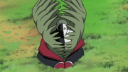 Mayfly.png