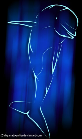 File:Dolphin Tattoo by mattvanhia.jpg