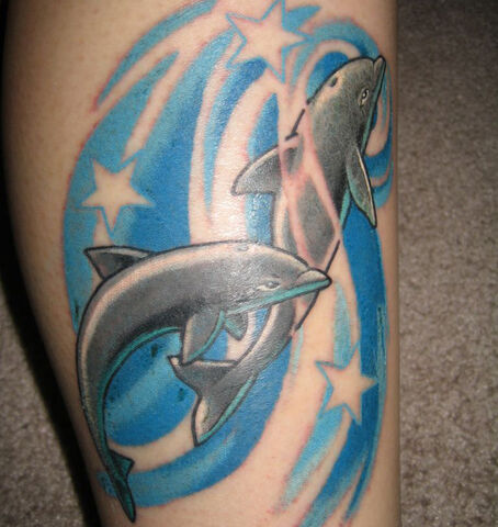 File:Dolphin1.jpg