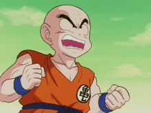 Krillin ranting about Bulma