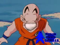 Krillin Owned Count 13
