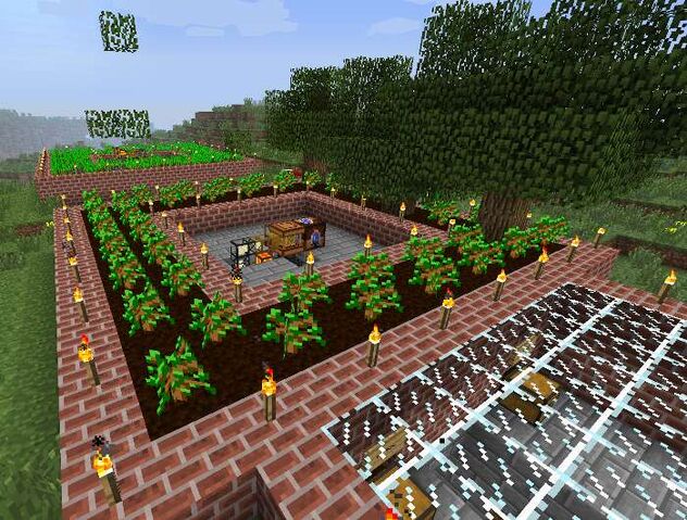 File:Forestry-main.jpg