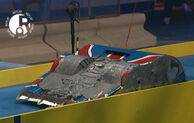 Britishbulldog tg02