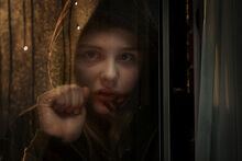 Abby in window