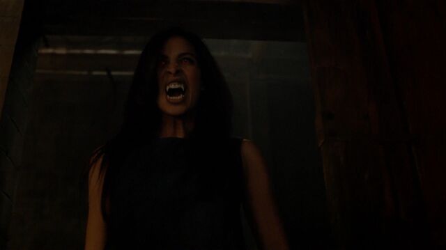 File:Teenwolf304hd 0855-1-.jpg