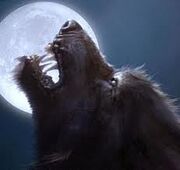 Loup Garou.jpg