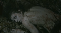 Thumbnail for version as of 20:21, June 21, 2011
