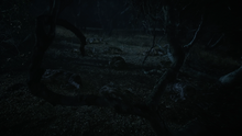 Wolf-pack-dead-Teen-Wolf-Season-6-Episode-11-Said-the-Spider-to-the-Fly