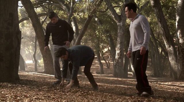 Archivo:Letharia Vulpina - Aiden, Stiles, Finstock.jpg