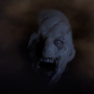 Darach Teen Wolf Wiki Fandom Powered By Wikia