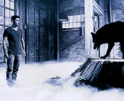 MzqtbgDvgk1r5eqzvo2 r1 250.gif