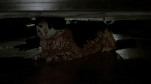 Datei:Teen-Wolf-Season-4-Episode-3-Sneak-Peek-Muted.jpg
