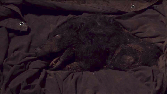 Archivo:Laura Hale Wolf.png