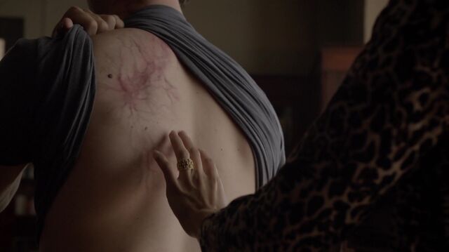 Datei:Teen Wolf S03E20 1080P KISSTHEMGOODBYE NET 1312.jpg