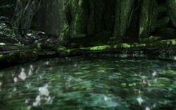 200px-Mystical Forest - Tekken 6