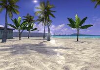Beach T4