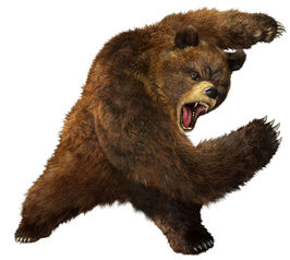 CG TEKKEN 5 Kuma.jpg