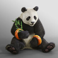 CG de Panda tekken blood vengeance.jpg